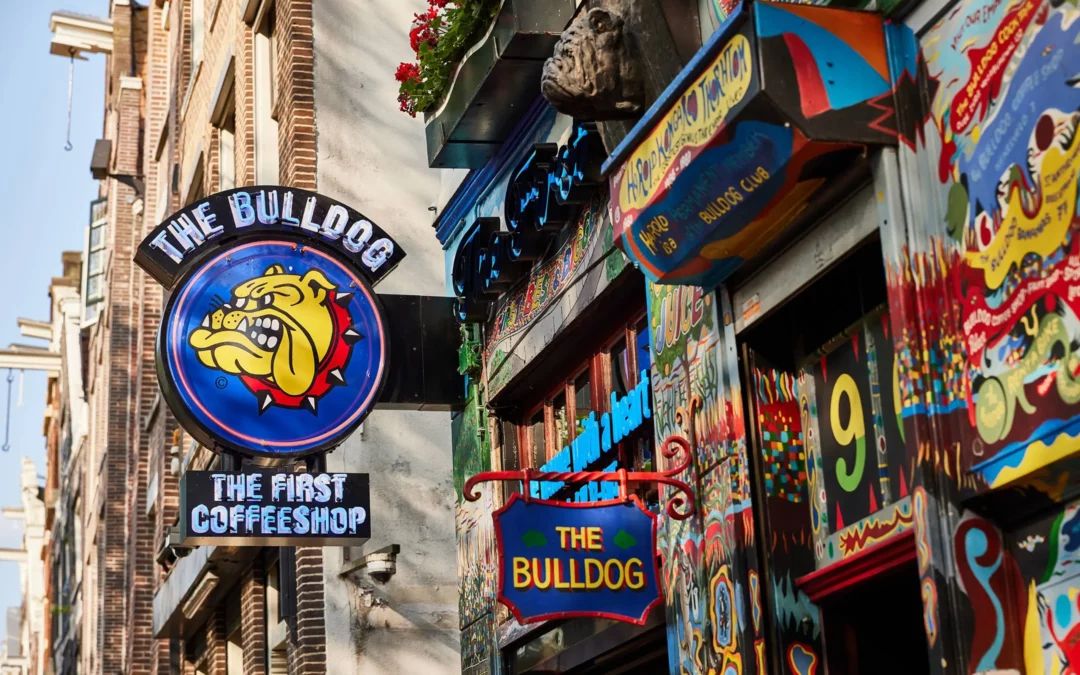 The First The Bulldog Amsterdam Coffeeshop